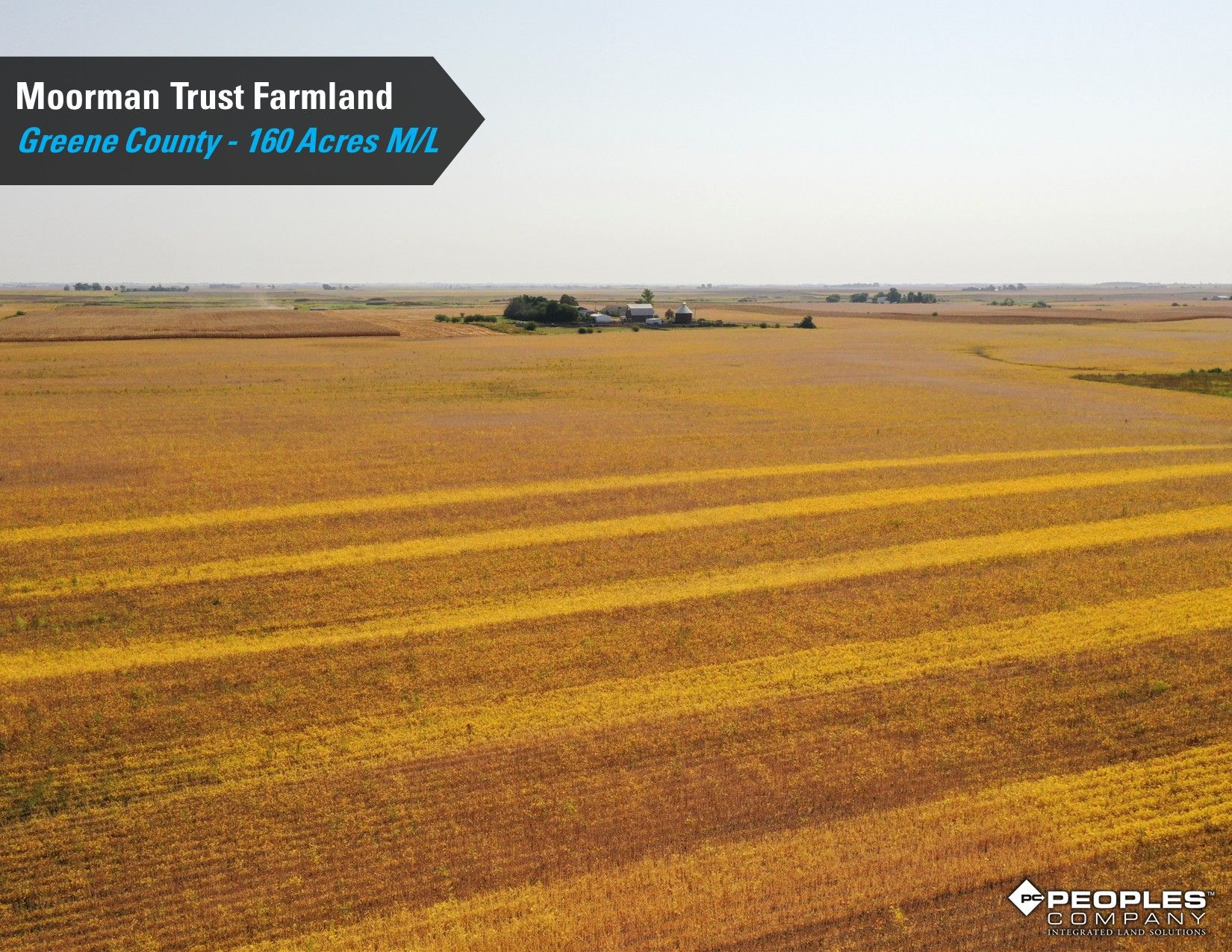 Listing Photo: Greene-County-Iowa-Farmland-Auction-160-Acres-Moorman-Rippey-IA-18618 (17)